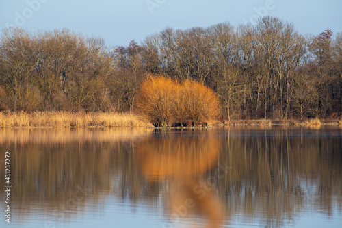 Calm water of the Vrkoc pond. In the background are trees reflected in the water. Beautiful landscape in the Czech Republic in Europe.