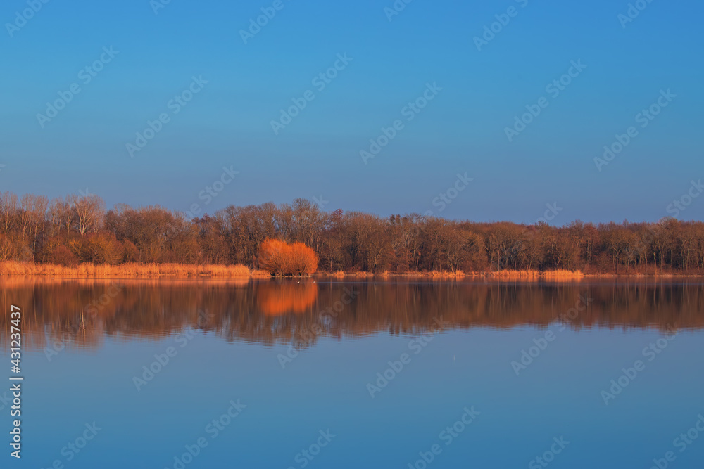 Calm water of the Vrkoc pond. In the background are trees reflected in the water. Beautiful landscape in the Czech Republic in Europe.