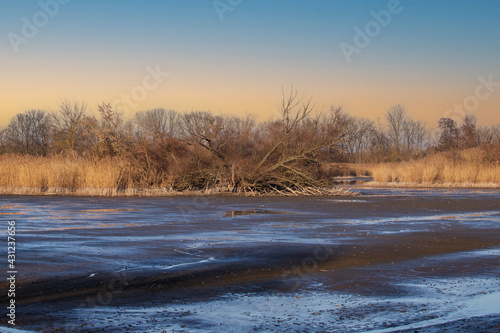Drained pond with remnants of water. In the background are trees. The sky is blue.