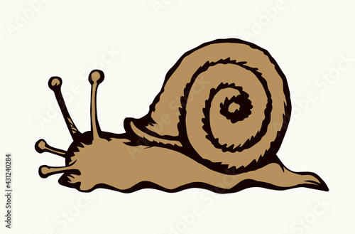 A snail creeps on the ground. Vector drawing