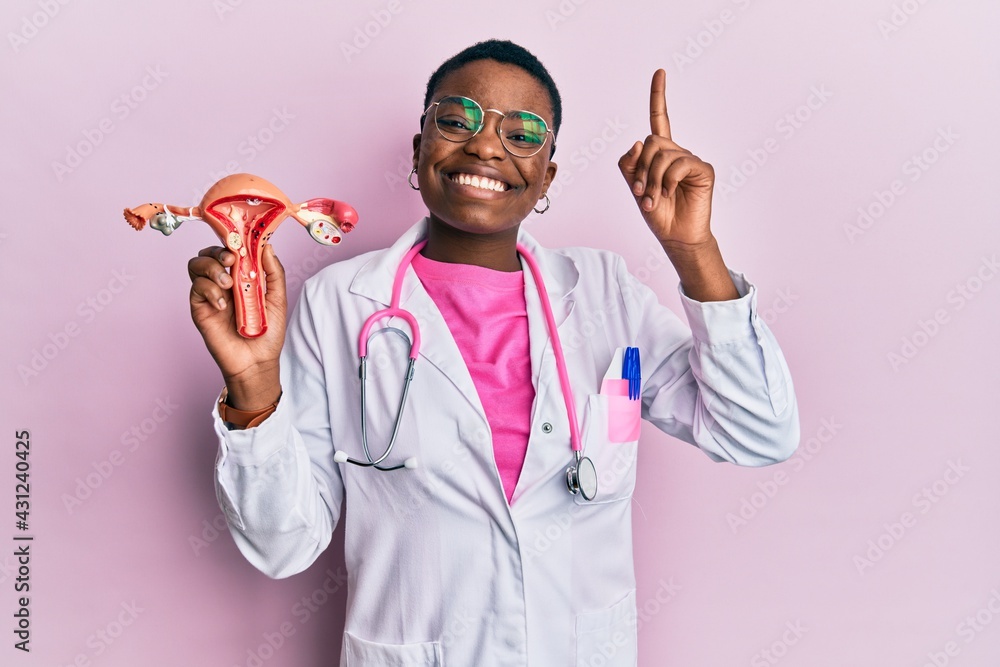 Young African American Doctor Woman Holding Anatomical Model Of Female Genital Organ Smiling 9644