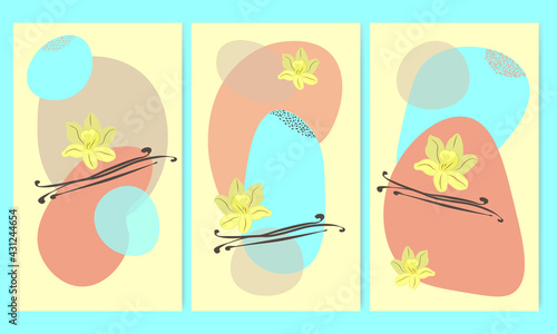 Print vanilla flowers and sticks on abstract shapes