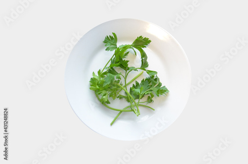 parsley on a white plate