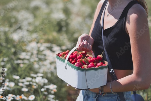 Young teenage girl is holding a basket with freshly picked strawberries