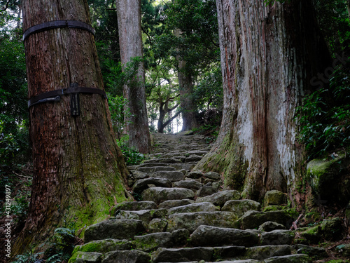 熊野古道