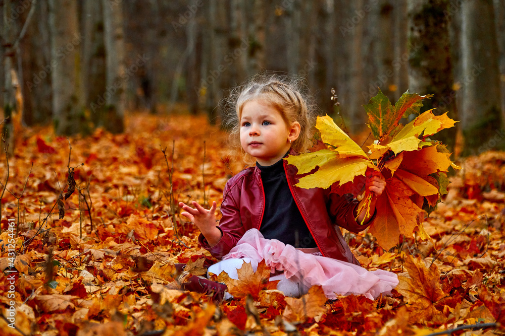 Happy child in the golden forest. Yellow leaves on the trees. Bouquet of leaves. High quality photo Happy child in the golden forest. Yellow leaves on the trees. Bouquet of leaves. High quality photo