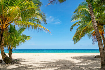 Summer background of Coconut Palm trees on white sandy beach Landscape nature view Romantic ocean bay with blue water and clear blue sky over sea at Phuket island Thailand