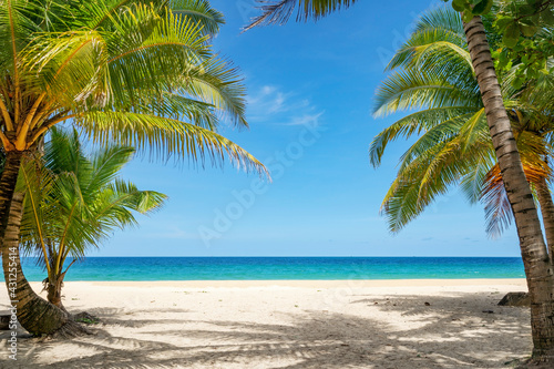 Summer background of Coconut Palm trees on white sandy beach Landscape nature view Romantic ocean bay with blue water and clear blue sky over sea at Phuket island Thailand