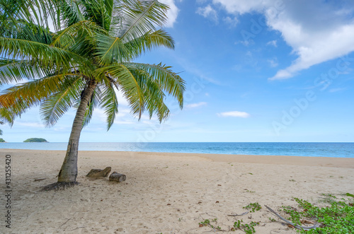 Summer background of Coconut Palm trees on white sandy beach Landscape nature view Romantic ocean bay with blue water and clear blue sky over sea at Phuket island Thailand