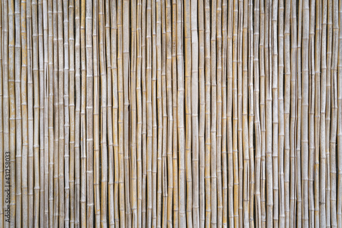 bamboo fence texture as design background