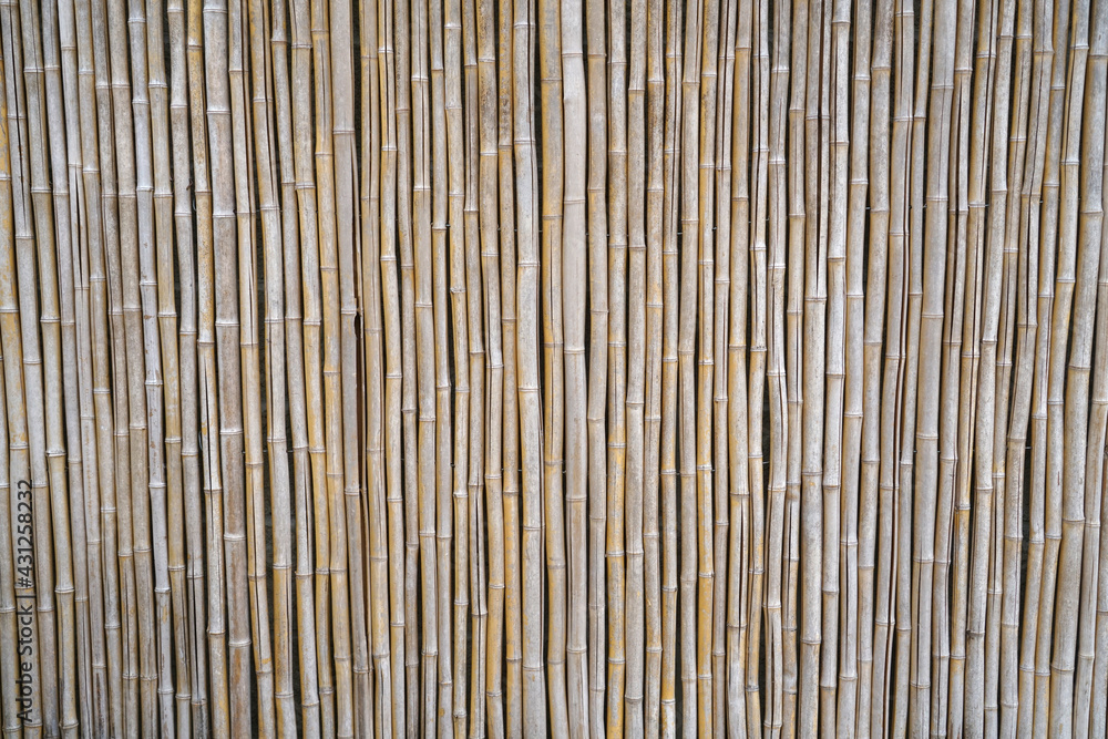 bamboo fence texture as design background bamboo fence texture as design background