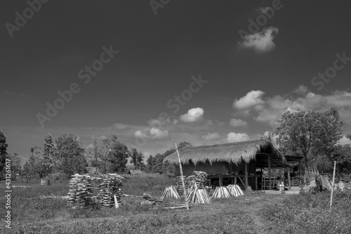 Old house in the forest. Traditional bamboo longhouses of Missing tribe (Mishing) on stilts facing paddy fields and Brahmaputra river on the horizon under blue sky in summer,  Assam, India. photo