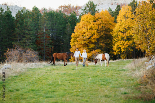Couple walks on the lawn in the autumn forest, holding hands. Horses graze on the lawn. A woman holding a teddy bear