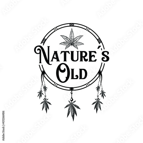 The nature's old illustration vector