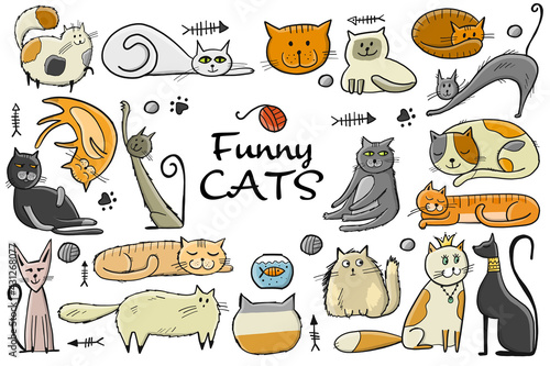 World Cats Day. Art frame with collection of cats character for your design