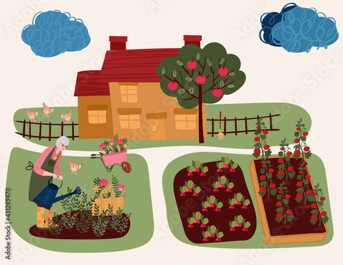 Senior Woman watering flowers. Old grandma cultivating garden. Aged Female hobby gardening in house yard. Beds with eco tomatoes and radishes. House in lawn with apple tree. Chicken in backyard.