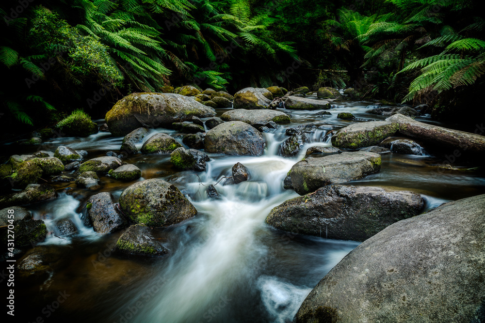 Creek flowing through rocks in temperate rainforest Creek flowing through rocks in temperate rainforest
