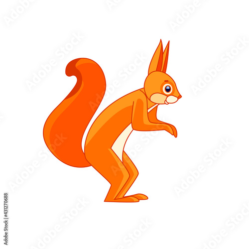 Cute red squirrel is standing. Cartoon character of a curious rodent-a mammalian animal. A wild forest creature with orange fur. Side view. Vector flat illustration isolated on a white background