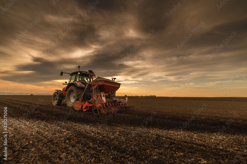 Fototapeta premium Farmer with tractor seeding