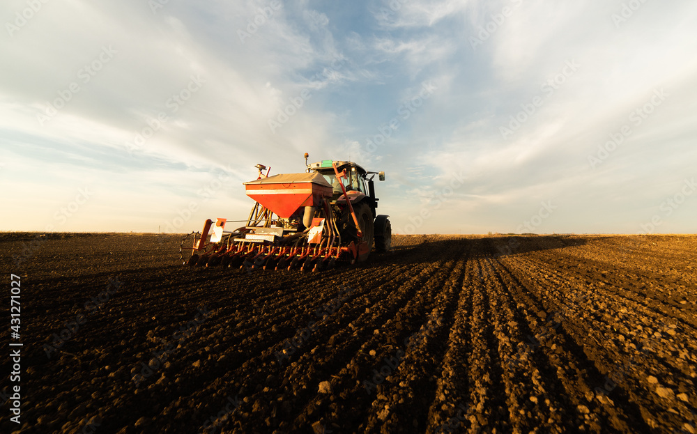 Fototapeta premium Farmer with tractor seeding
