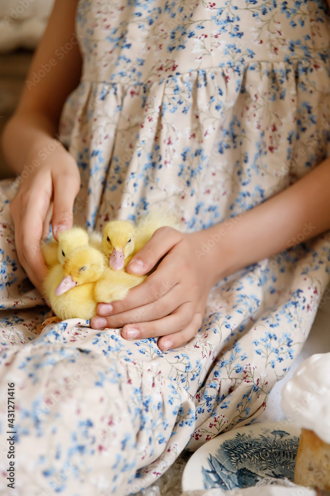 close-up of a little duck in the arms of a child