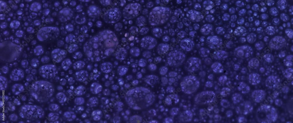 Macro Textures with Vibrant Neon Color Palette. Abstract Background Made with Oil Mixed with Purple Dye, Ink, and Paint. Macro Textures with Vibrant Neon Color Palette. Abstract Background Made with Oil Mixed with Purple Dye, Ink, and Paint.