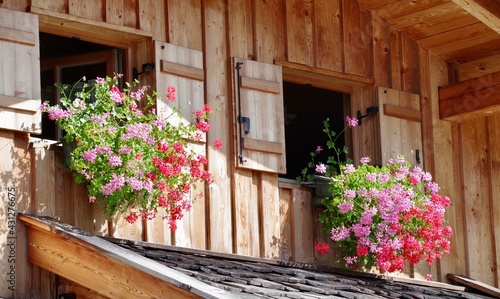 Fototapeta Naklejka Na Ścianę i Meble -  Blumenfenster