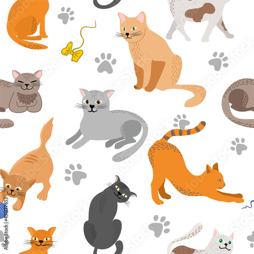 Kitty seamless pattern. Different cat breeds flat illustration. Color cute cats background, colorful kittens texture for animals baby fabric design, decor. Decorative background with various pet