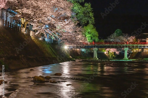 210408中橋夜桜G143 