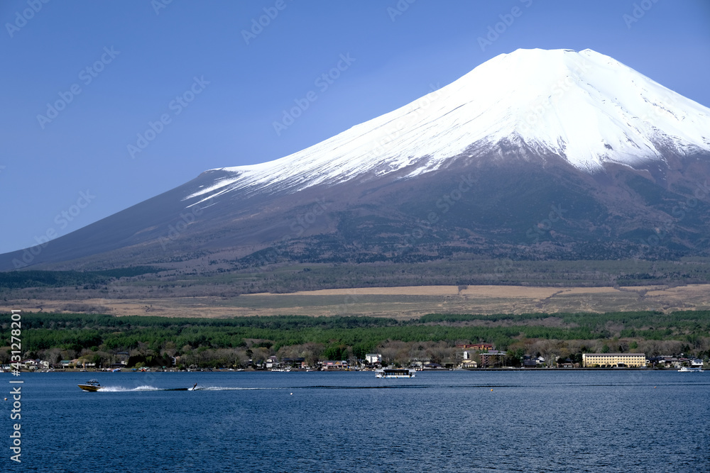 【山梨】山中湖長池親水公園から見る春の富士山