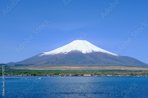 【山梨】山中湖長池親水公園から見る春の富士山