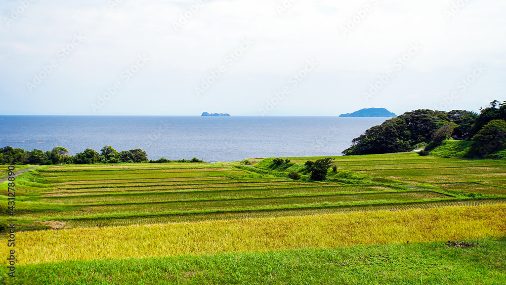 稲刈りが終わった新井の千枚田の段々畑と日本海	の大海原
