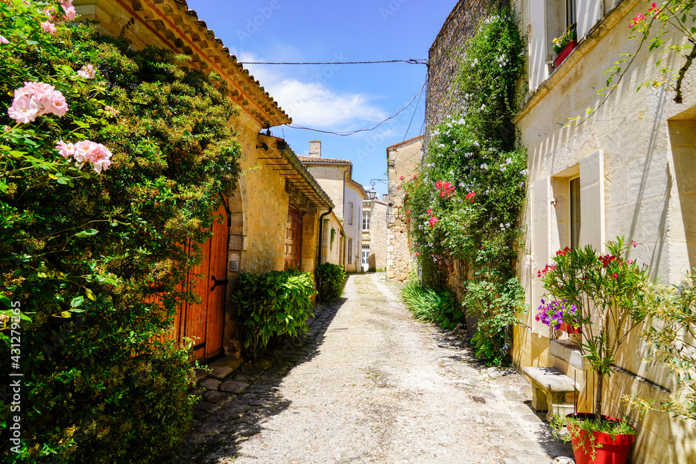 rose flowers alley in rions village in Gironde France