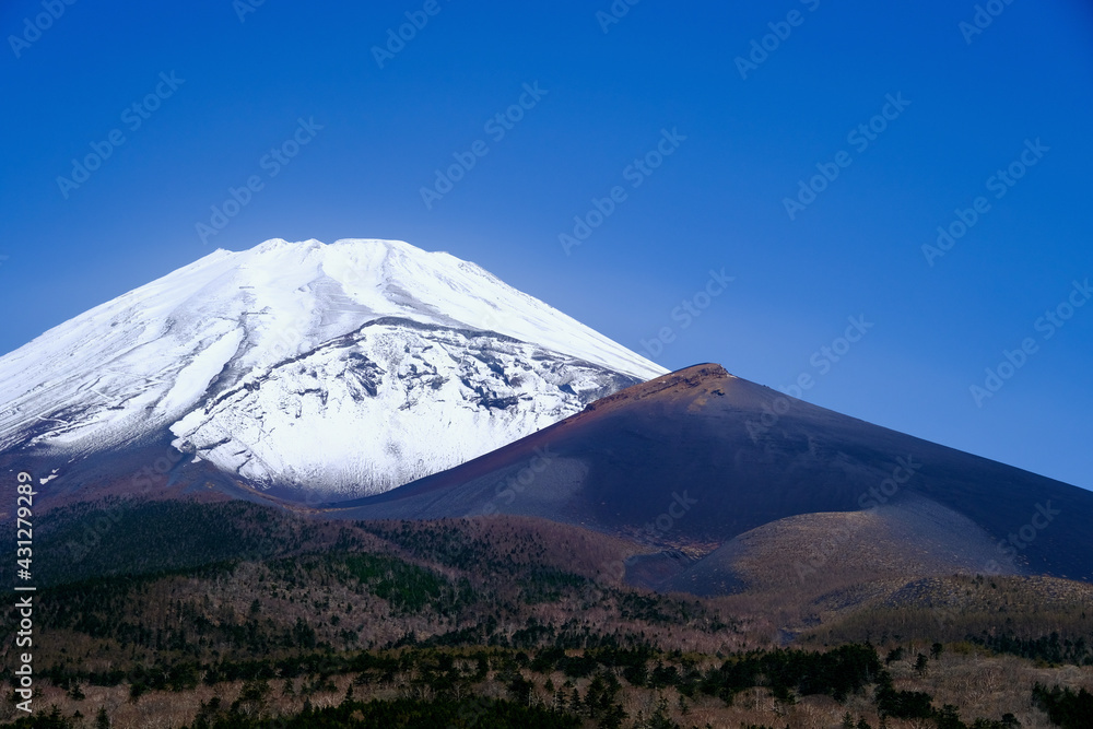 【静岡】水ケ塚公園から見る春の富士山