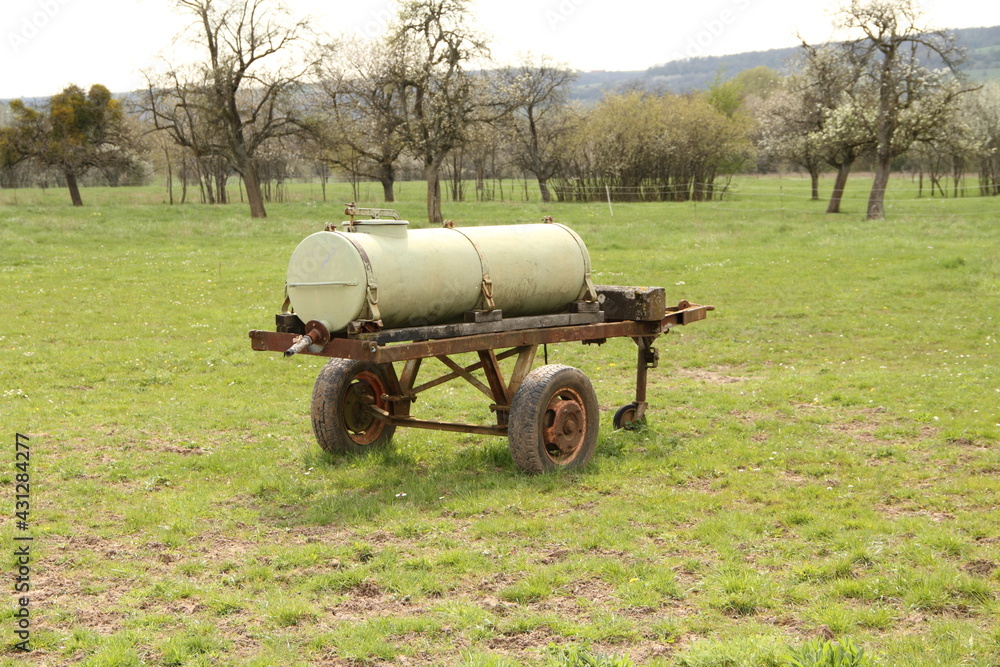 a cattle trough in the pasture 