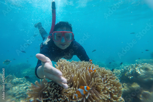 Woman snorkeling underwater with clownfish in coral reef sea at Karimun Jawa