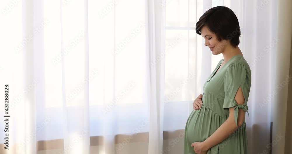 Serene peaceful pregnant woman stand indoor hold hands on belly, put palms on tummy feel sincere love. Create new life, maternity, IVF procedure, tender moment and unity of mom and unborn kid concept Serene peaceful pregnant woman stand indoor hold hands on belly, put palms on tummy feel sincere love. Create new life, maternity, IVF procedure, tender moment and unity of mom and unborn kid concept