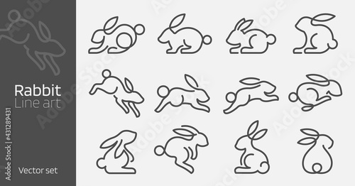 Rabbit continuous line art vector illustration. Mono linear design style