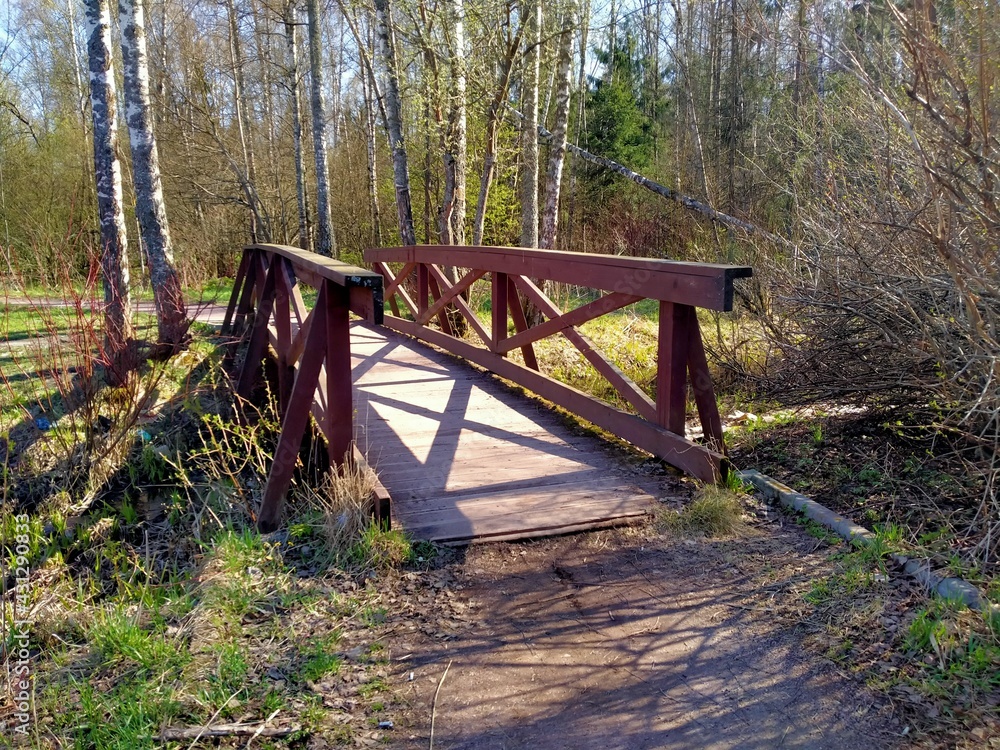 Forest bridge by the pond.
01.05.2021 