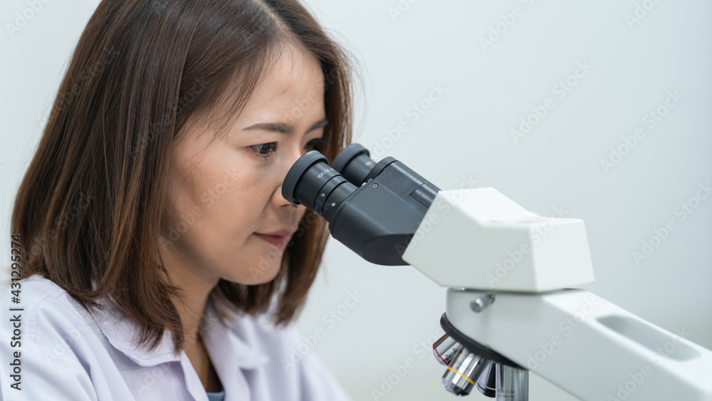 A young scientist woman in a laboratory coat looking through a microscope in a laboratory to do research and experiment. Scientist working in a laboratory. Education stock photo A young scientist woman in a laboratory coat looking through a microscope in a laboratory to do research and experiment. Scientist working in a laboratory. Education stock photo