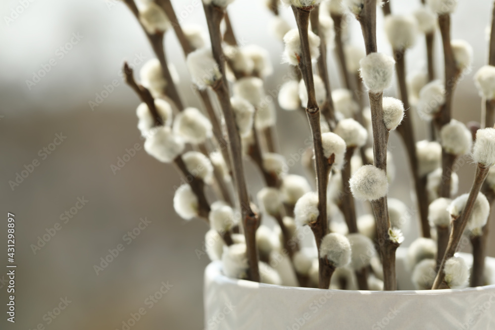 Beautiful pussy willow branches in vase on blurred background, closeup. Space for text Beautiful pussy willow branches in vase on blurred background, closeup. Space for text