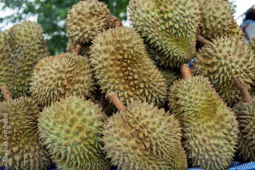 Durain fruit sell in local market. Durian being sold in a market.