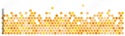 Hexagon / Honeycombs