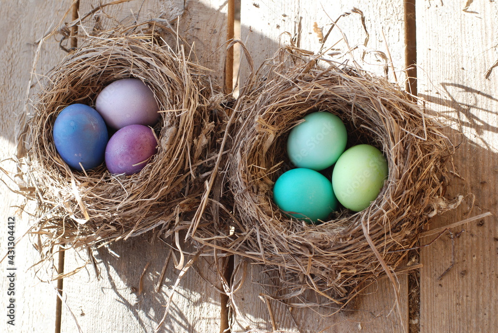 Obraz premium Пасхальные яйца в гнезде