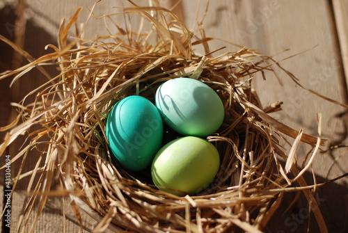 Пасхальные яйца в гнезде