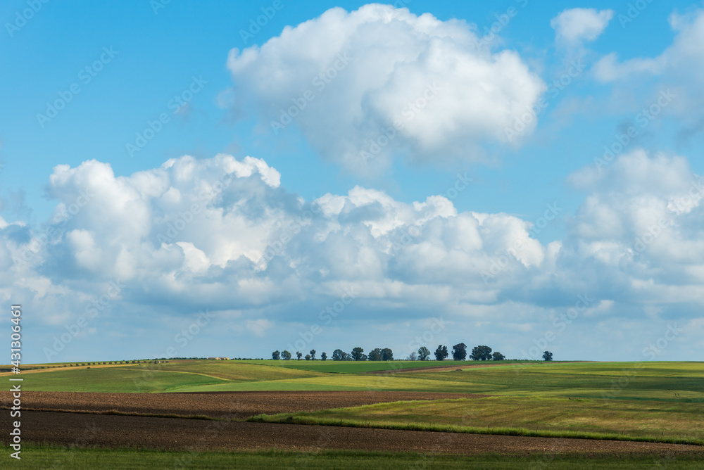 Landscape of some cultivated fields, on a small hill with trees on top and the sky covered with clouds.