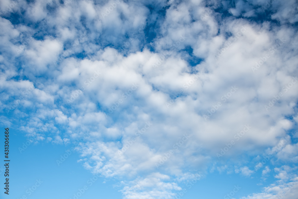 Obraz premium 春の空２０２１年（其の五）