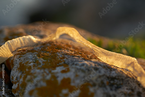 dried skin of a snake on the sand in nature in the mountains photo