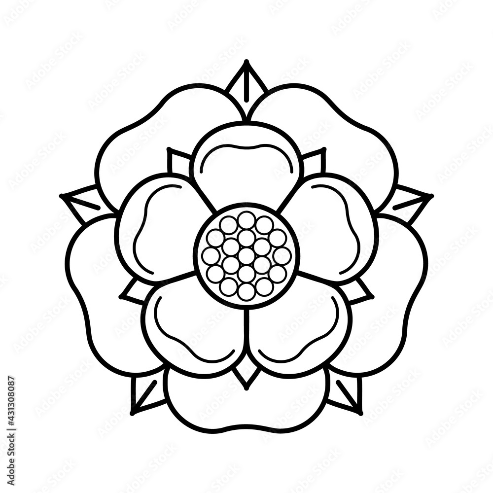 Tudoe rose of Englnd vector illustration. Tudoe rose of Englnd vector illustration.