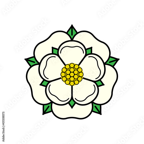 Tudoe rose of Englnd vector illustration.